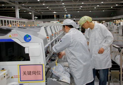 芯片榮獲最高級別認證 兩江新區(qū)以硬科技為引擎，驅動技術服務創(chuàng)新升級